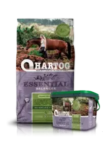 Hartog Essential zak 12 kilo