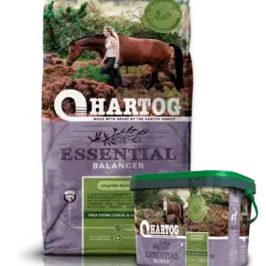 Hartog Essential zak 12 kilo