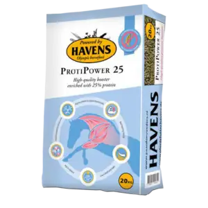 Havens ProtiPower 25 — eiwitbooster met 25% eiwit voor spieropbouw en herstel