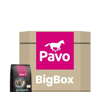 Pavo All Sports – big box 725 kg