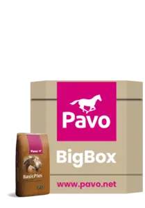 Pavo BasicPlus Bigbox