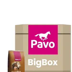Pavo BasicPlus Bigbox