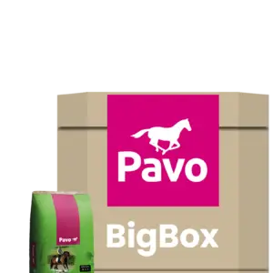 Pavo Condition – big box 725 kg