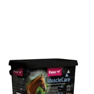 Pavo MuscleCare – emmer 3 kg