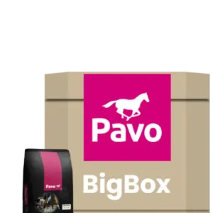 Pavo Performance – big box 725 kg