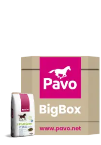 Pavo Podo Grow