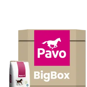 Pavo Podo Grow