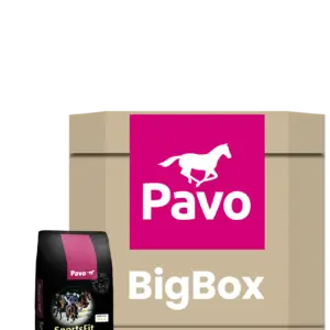 Pavo SportsFit – big box 450 kg