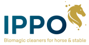 Ippo